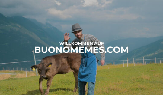 Buonomemes